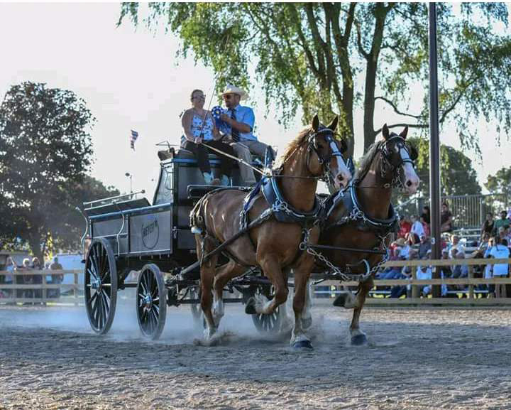 CWSF Draft Horse Show reunites with fair Wisconsin Rapids City Times